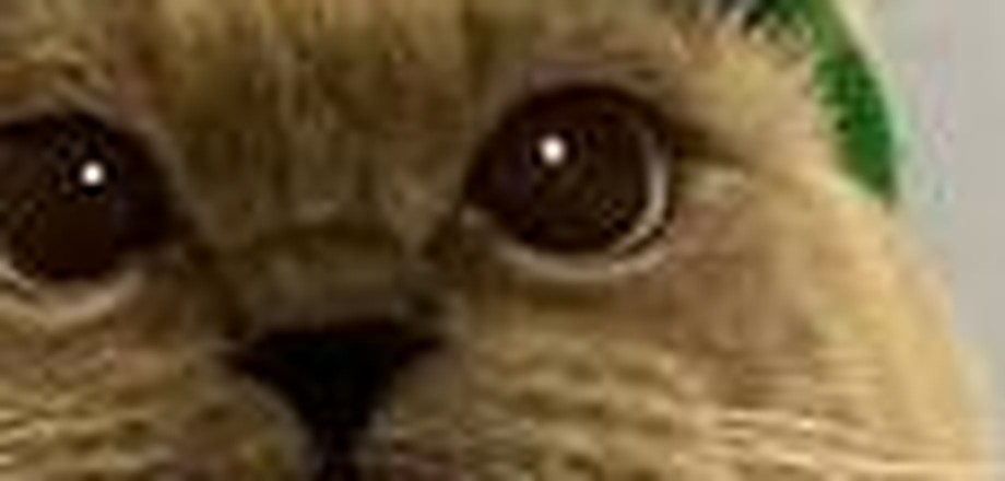 Gussy's eyes